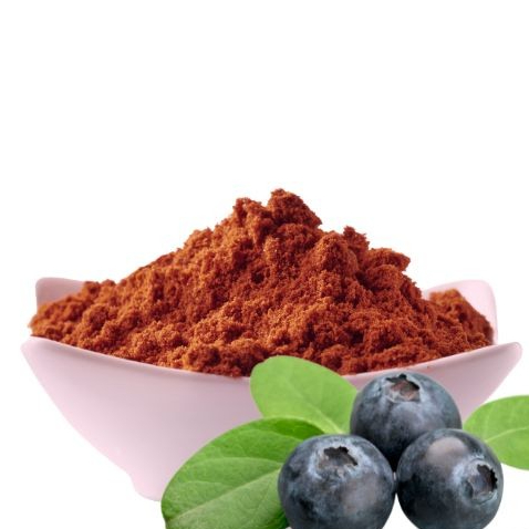 

100gr Blueberry Powder - Bubuk Blue Berry Asli Berkualitas