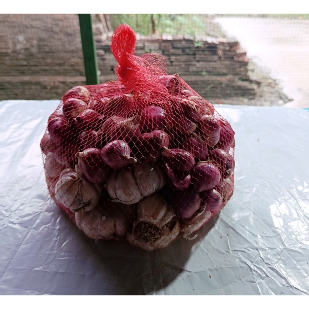 

Mix 1kg (500 gr Bawang Merah Besar + 500 gr Bawang Putih)