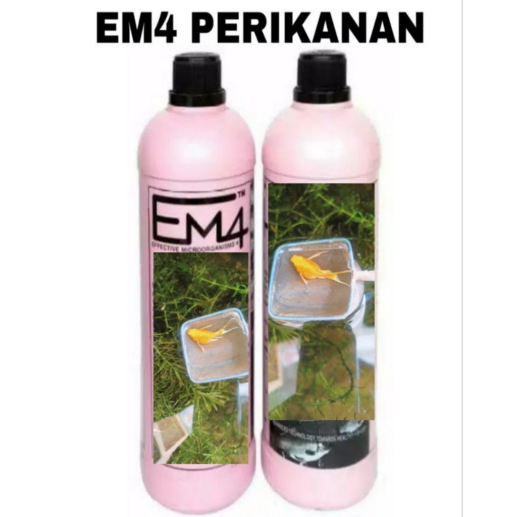 prebiotik Guppy afr,prtde,prtde,afr