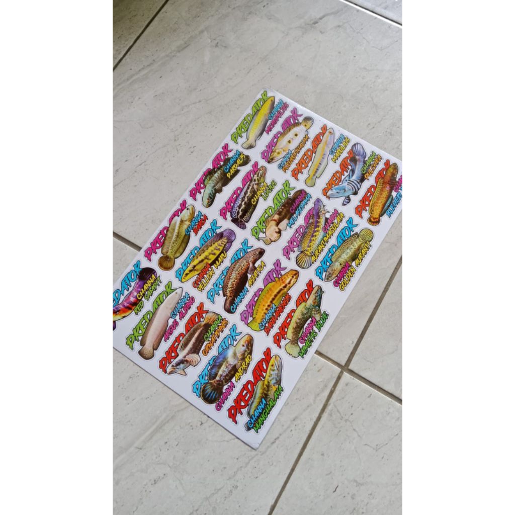 

STIKER GAMBAR CHANNA