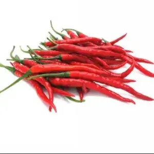 

Cabe merah keriting 250 gram