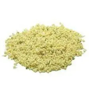 

Kecambah - Toge Pendek - Toge Rawon 2 bungkus