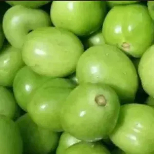 

Tomat Hijau 250 Gram