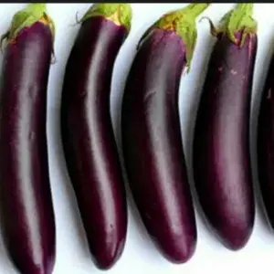 

Terong Ungu Panjang 2 buah