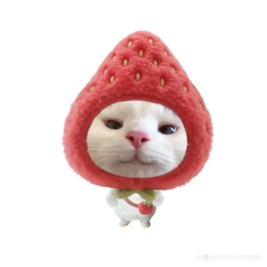 

preloved @milkyfl0wer