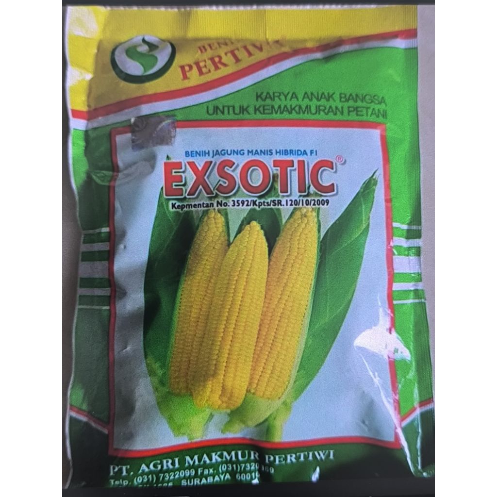 bibit jagung manis exsotic pertiwi