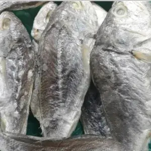 

Ikan asin Kepala Batu 200 Gram