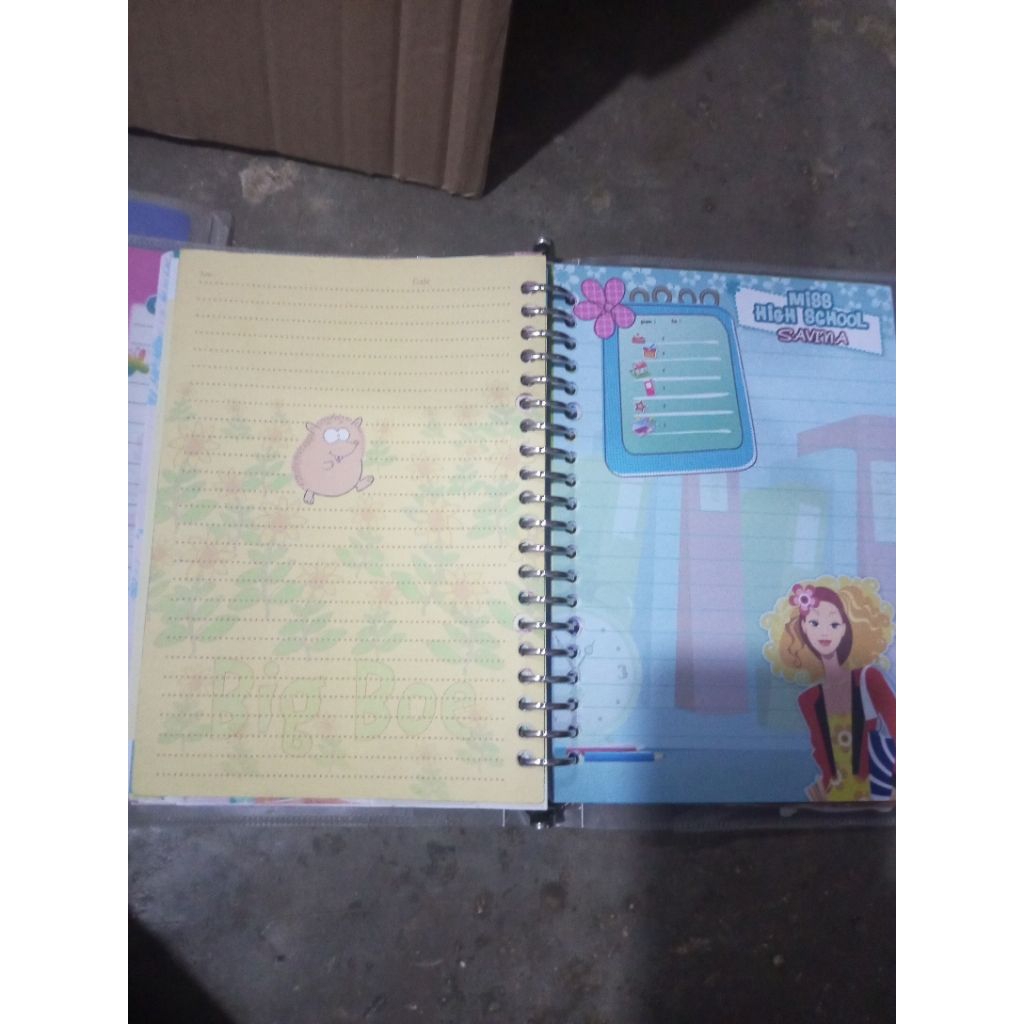 

(Preloved Binder) All in Binder Koleksi pribadi binder dan isi Koleksi jadul /Binder A5 PAKET 19