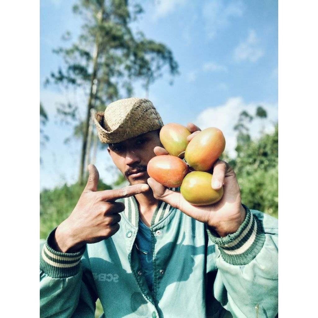 

Tomat super pilihan petani no 1 di Jawa barat 1kg - 5kg Tomat super