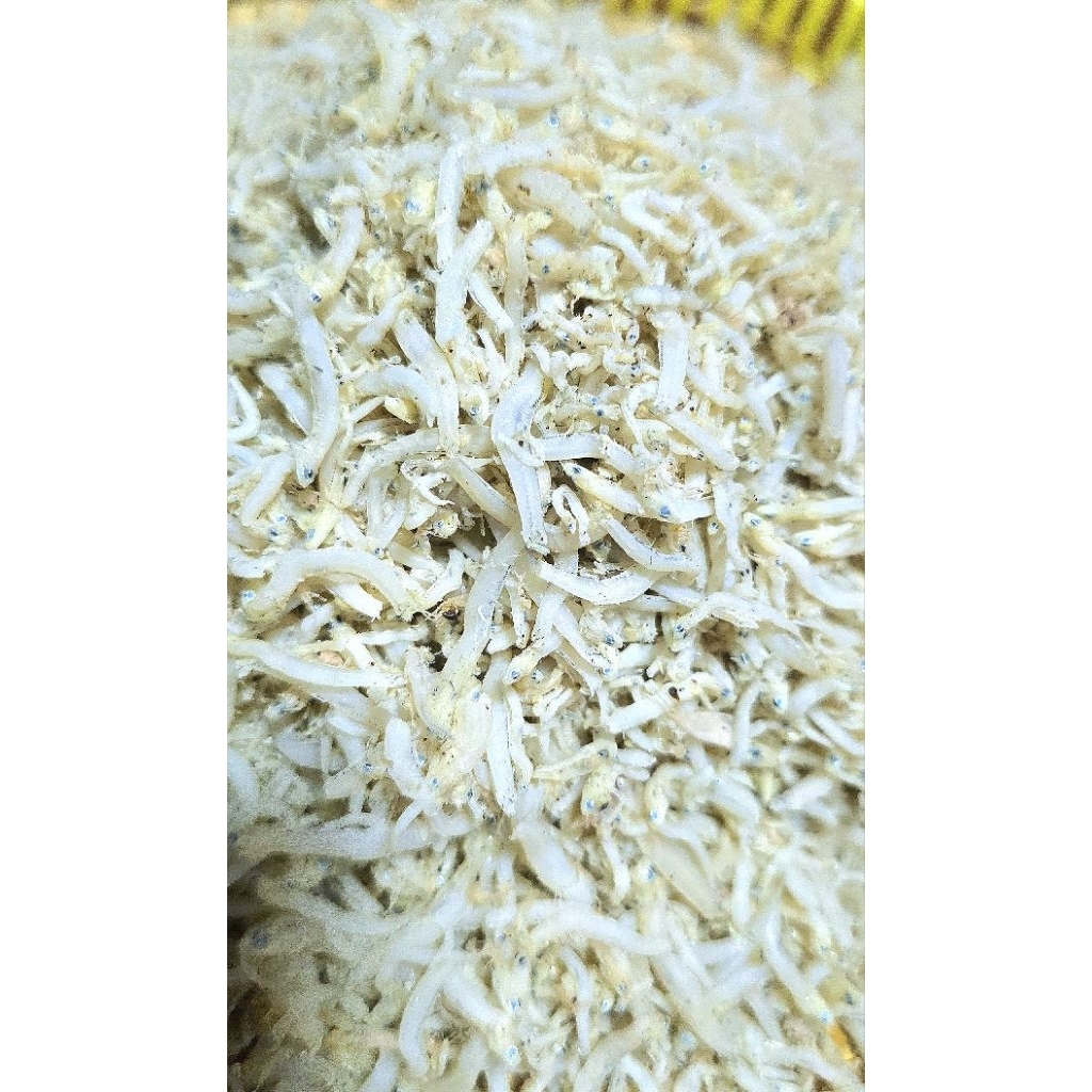 

Ikan Teri Asin Tanjung Balai