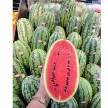 

semangka super manis semangka merah baby super sweet/pack