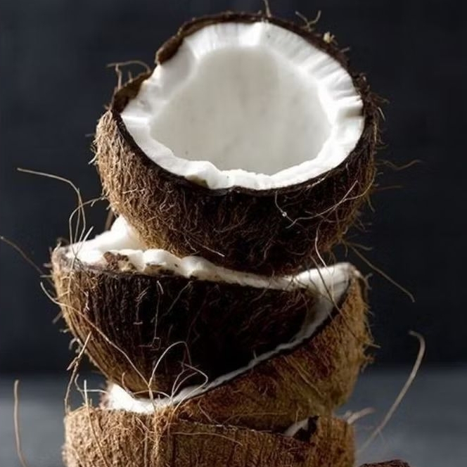 

kelapa tua segar buat santan per 1 pcs