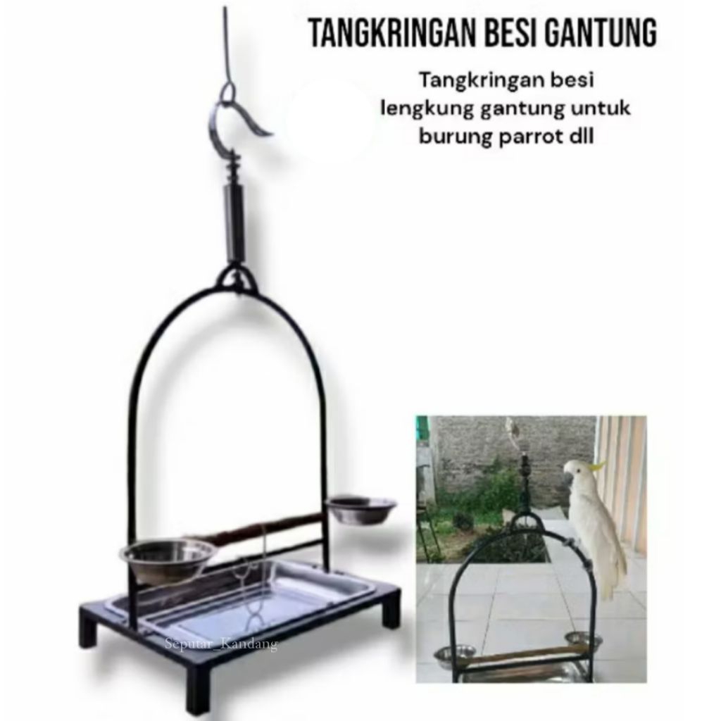 Tangkringan besi tangkringan gantung lengkung untuk Parrot Beo Kakak Tua Paruh Bengkok Dll
