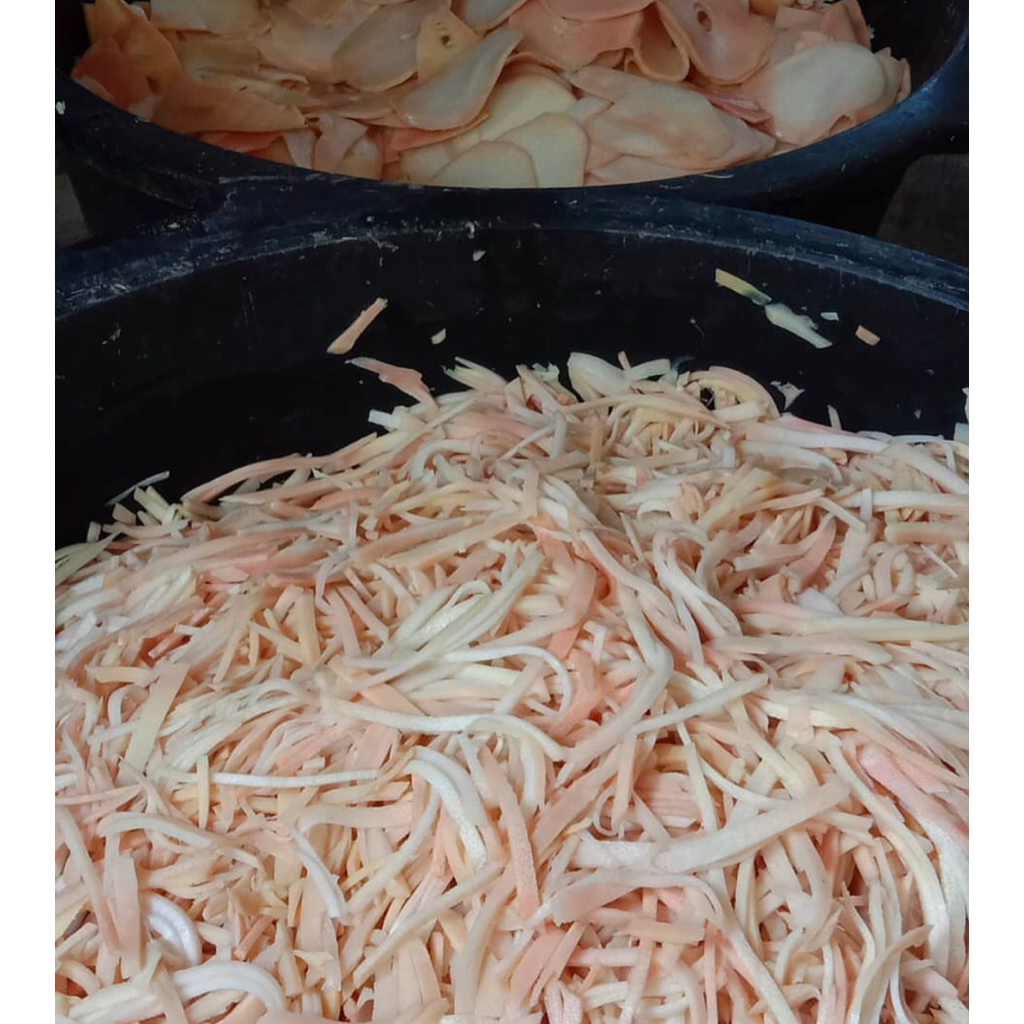 

GROSIR REBUNG RAJANG IRIS