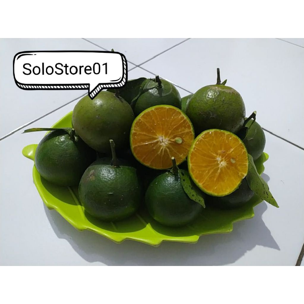 

Jeruk Peras Super Kemasan 1kg Fresh Petik Pohon