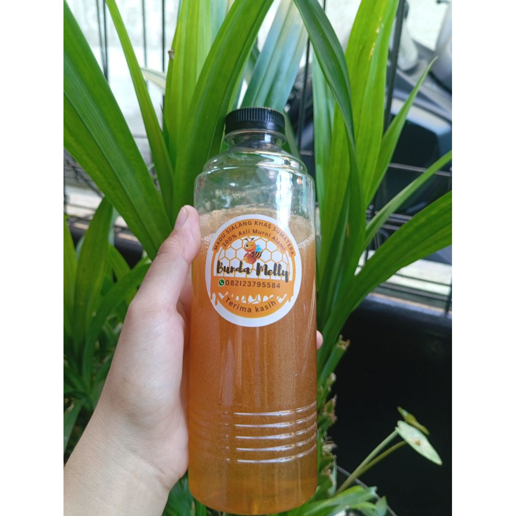 

Madu sialang asli sumatera