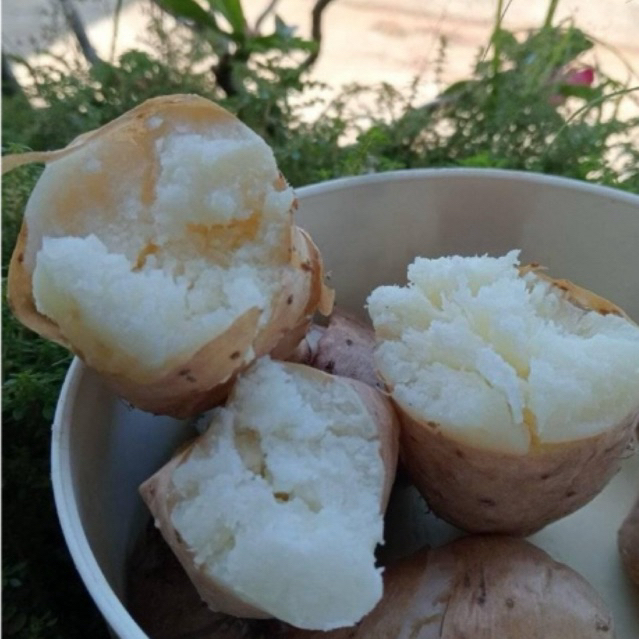 

GEMBILI PULEN MANIS DAN FRESH 1 Kg