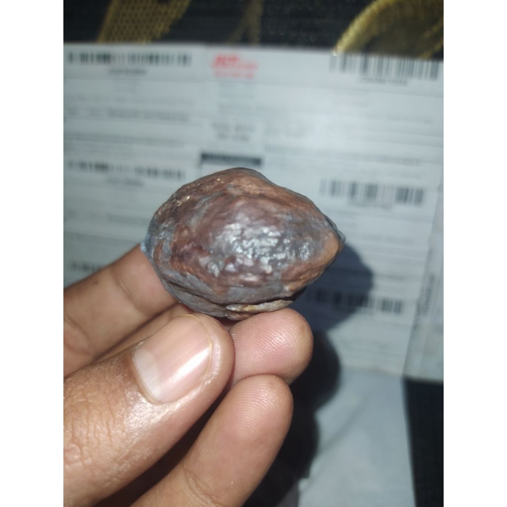 Muncang Adu Jayanti SI RUJIT