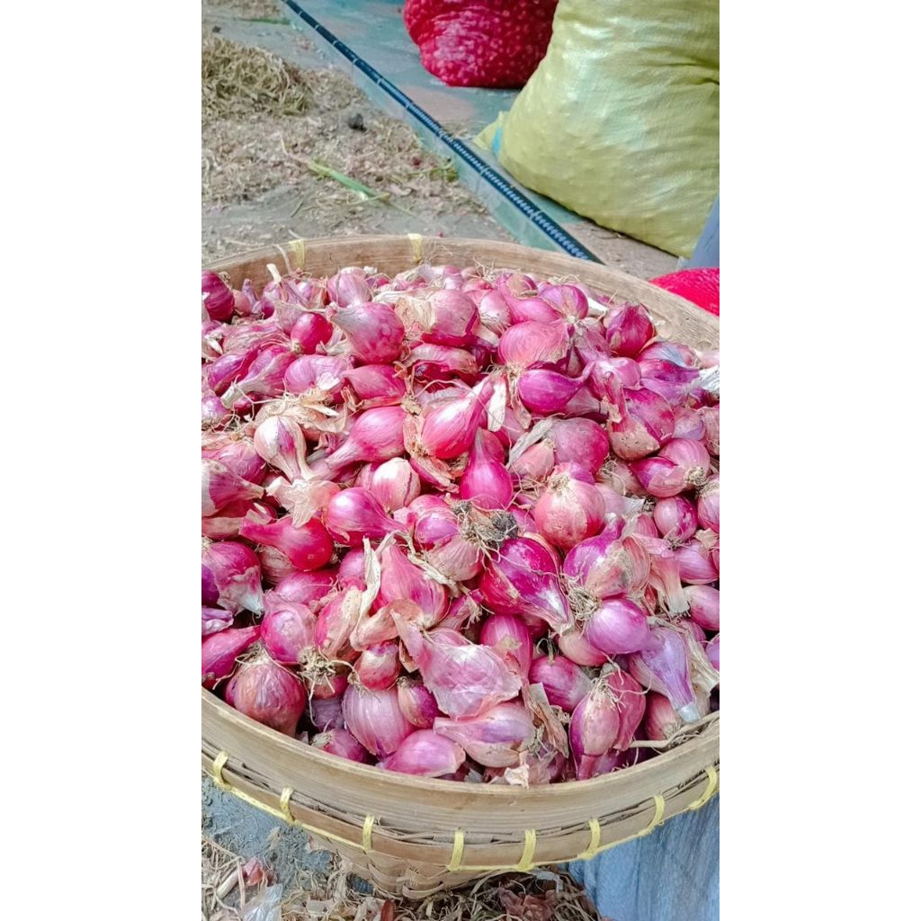

Bawang Merah Nganjuk