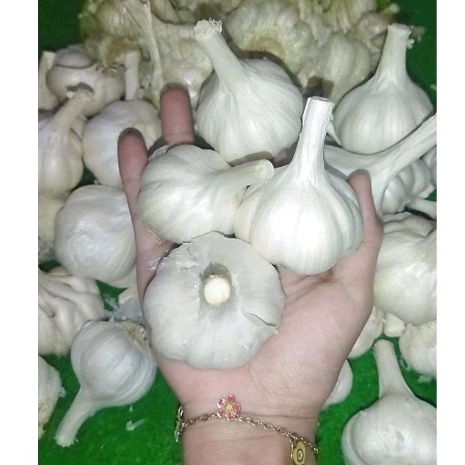 

BAWANG PUTIH KATING BERSIH MURAHHH!!