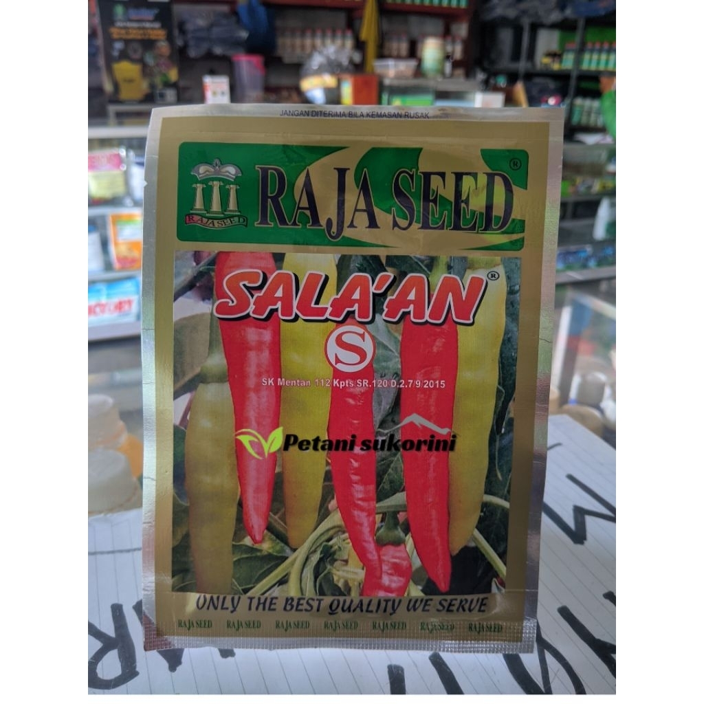 

Cabai Salakan original