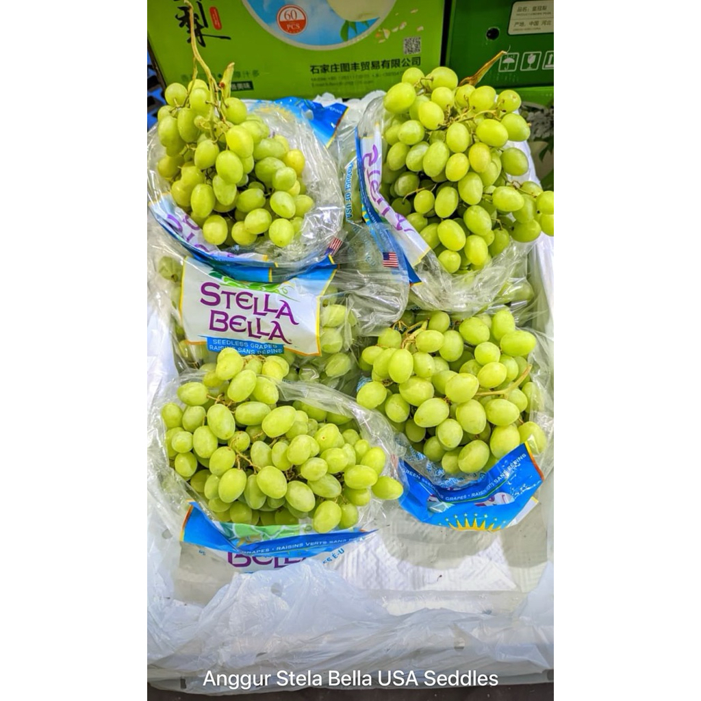 

ANGGUR HIJAU IMPORT USA MANIS