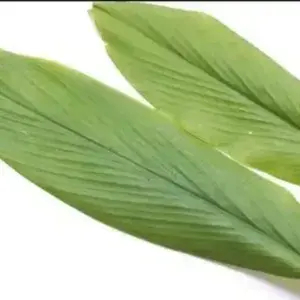 

Daun Kunyit - Per 1 Daun