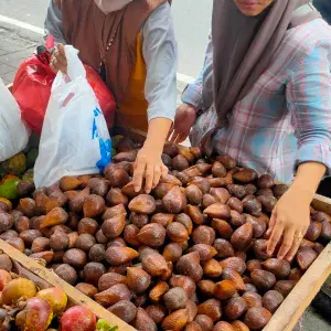 

paket salak pondoh 3kg