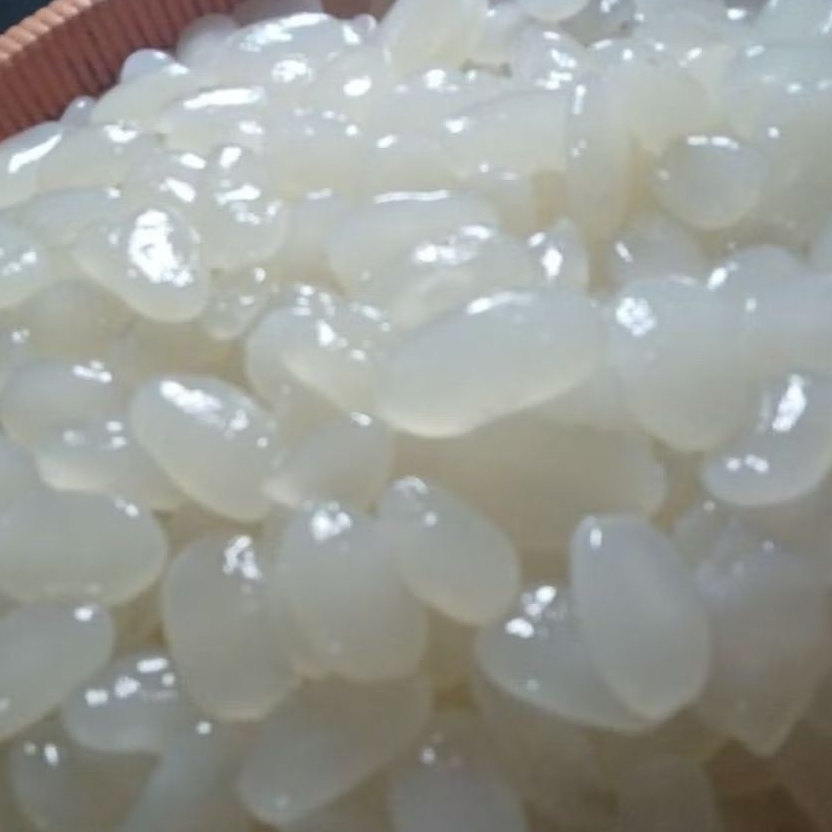 

Kolang Kaling mentah segar murah