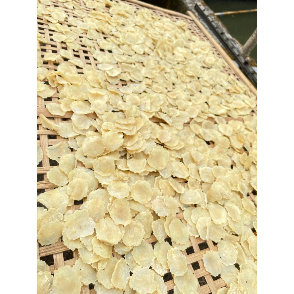 

TERMURAH!!! 100% EMPING MELINJO ASLI mentah dolar ukuran 1 biji melinjo.