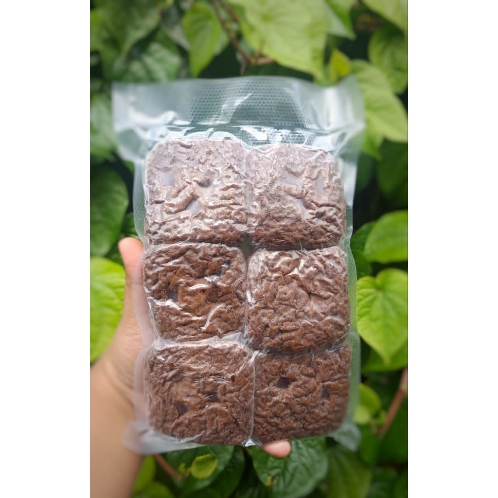 

brownies fudgies premium