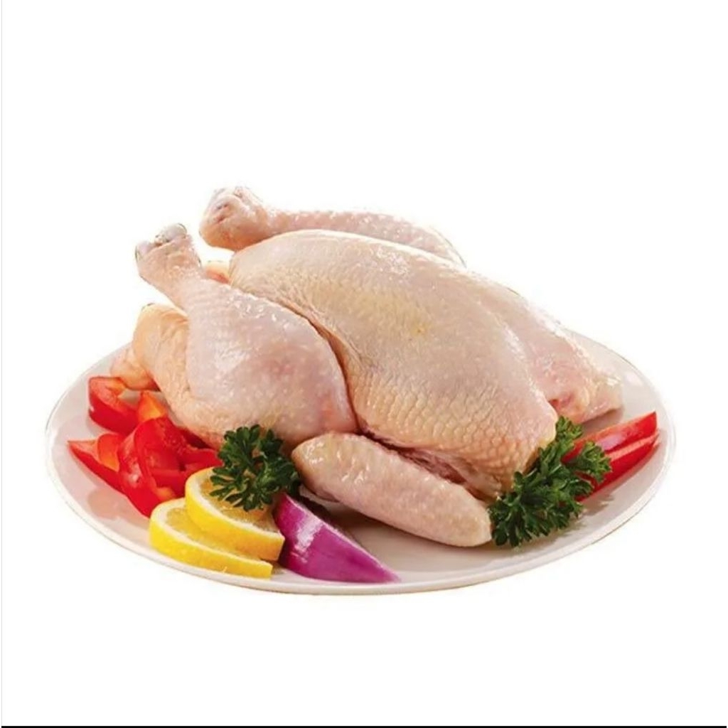 

AYAM CP UKURAN 900-1000 GR