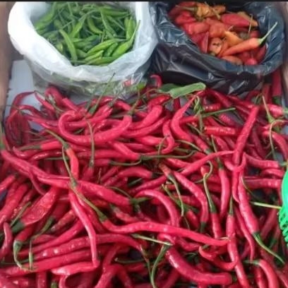 

Cabe Campur Segar Murah 55 gram