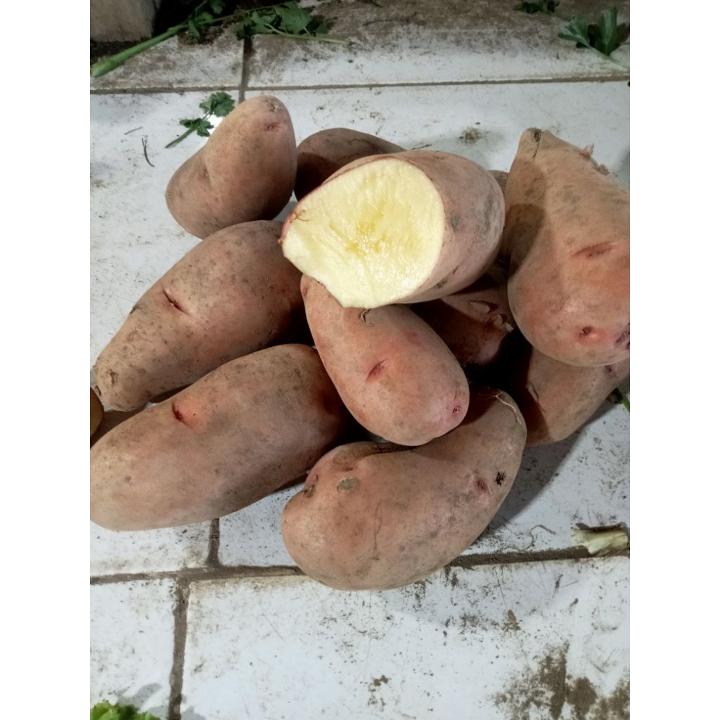 

Kentang Merah Fresh 1000 gr