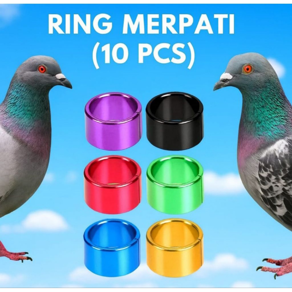RING CINCIN  BESI | RING MERPATI POLOS BESI UNTUK MERPATI RING CINCIN POLOS 10PCS