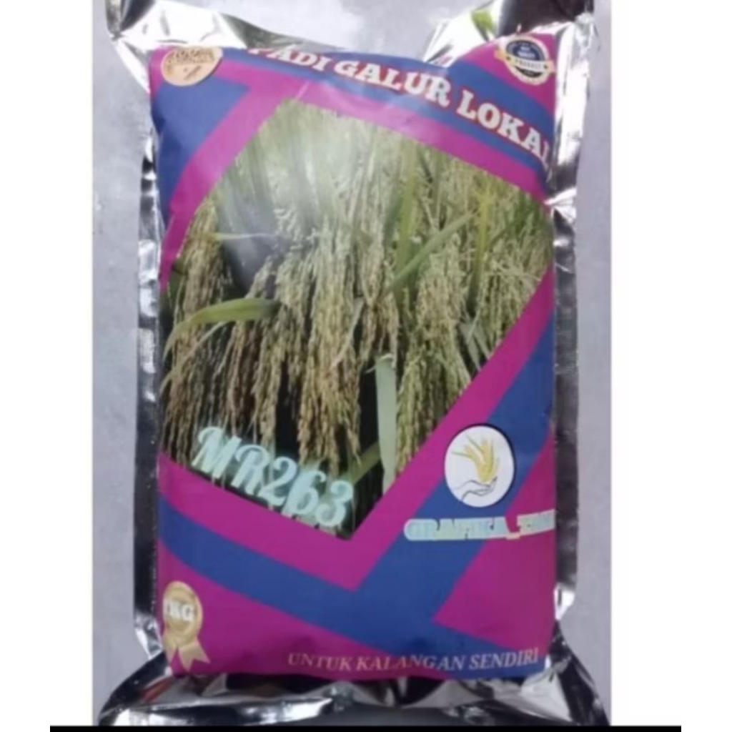 BENIH PADI MR263 KEMASAN 1KG