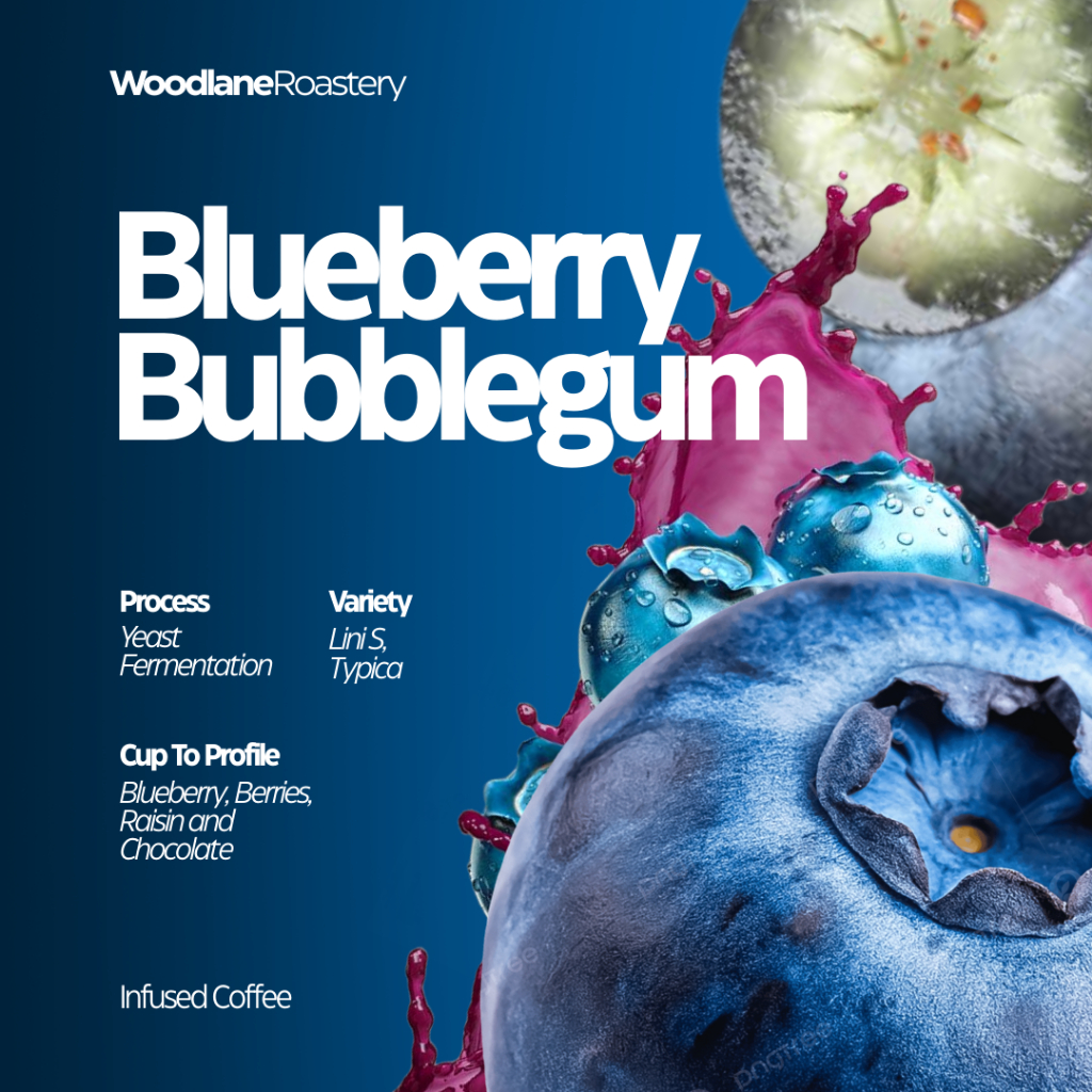 

Kopi Arabica Blueberry Bubblegum Single Origin (Woodlane Roastery)