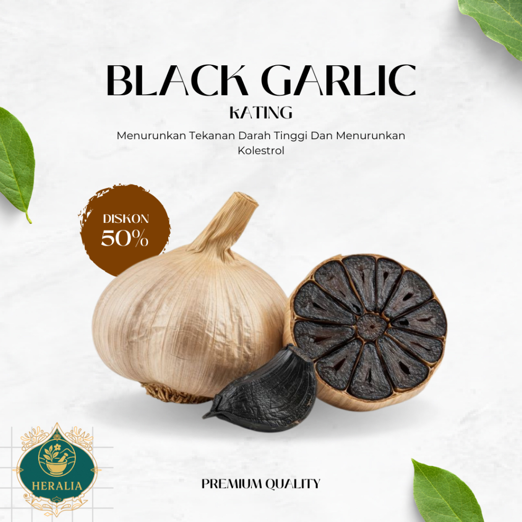 

PROMO COD Black Garlic Kating Premium Bawang Hitam | Bawang Putih Permentasi Bawang Hitam Black Garlic Tekstur Lembut | Bawang Herbal Bawang Putih Kating Heralia Black Garlic Kating
