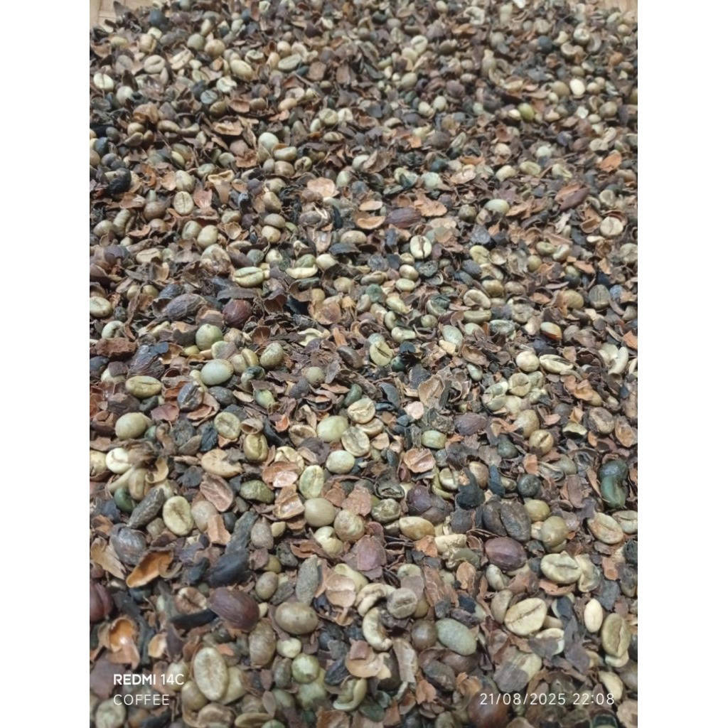 

PIXEL KOPI ROBUSTA 45K