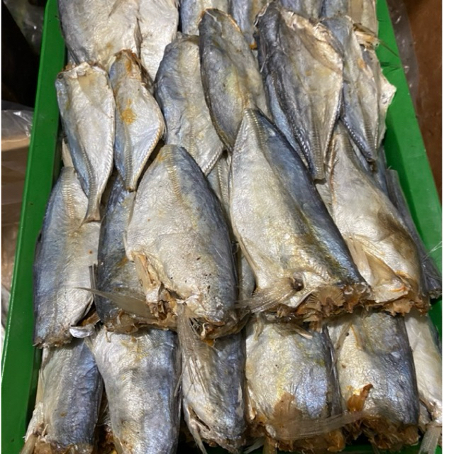 

ikan asin peda buntung