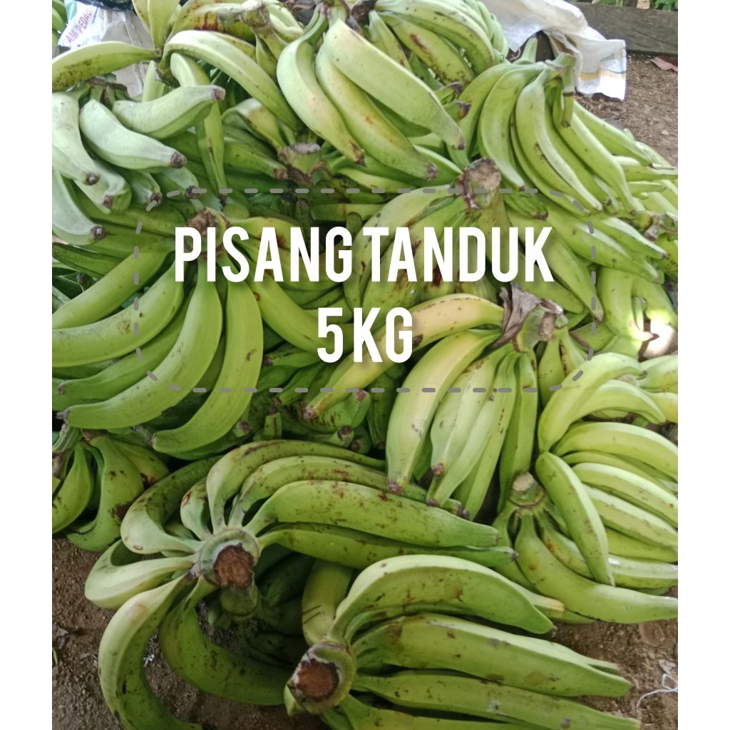 

PISANG TANDUK MADU SUPER 5Kg di kirim mentah