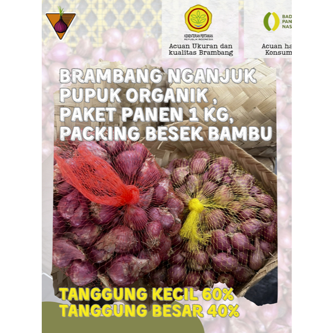 

Bawang Merah Nganjuk BESEK BAMBU Paket Panen Organik