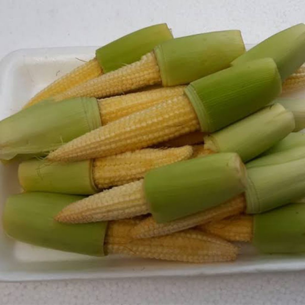 

Jagung Putren Jagung Mini Baby Corn 250 g