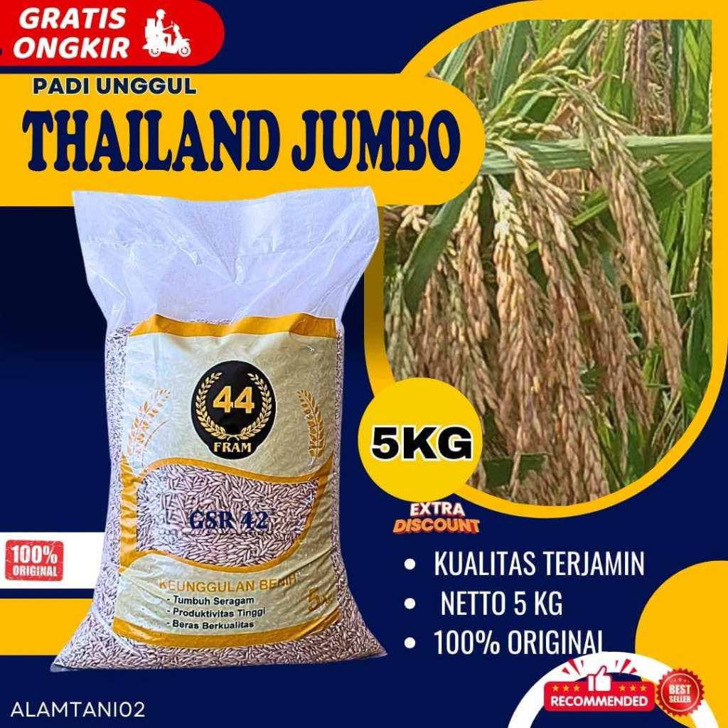 benih padi bibit padi THAILAND JUMBO kualitas premium kemasan 5 KG