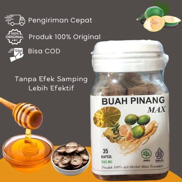 Kapsul Buah Pinang Muda Kapsul Murni Berkhasiat Kemasan Baru BUAH PINANG MAXX HOLOGRAM - Zivilia