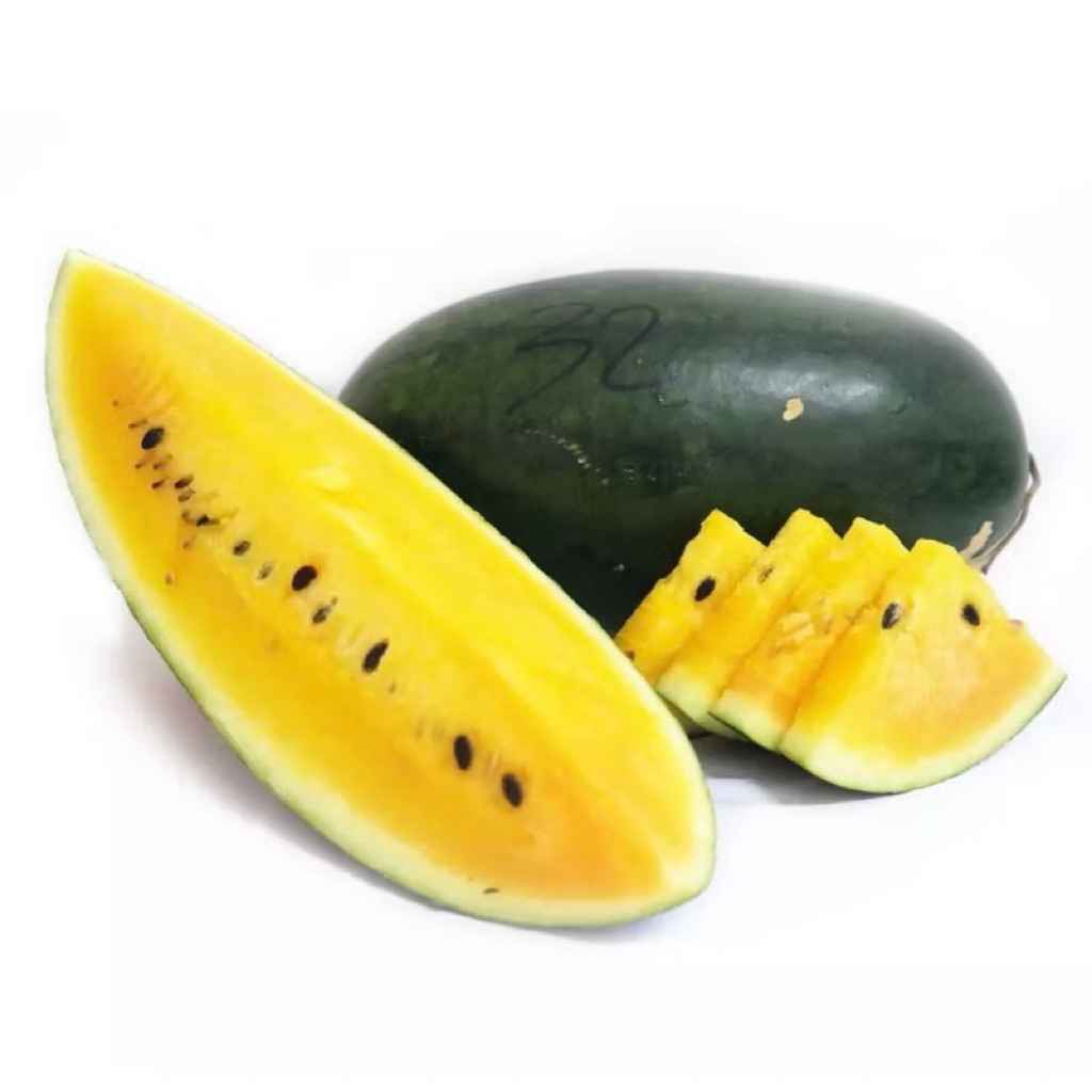 

Semangka Mini Golden Bogatani Super / Pcs