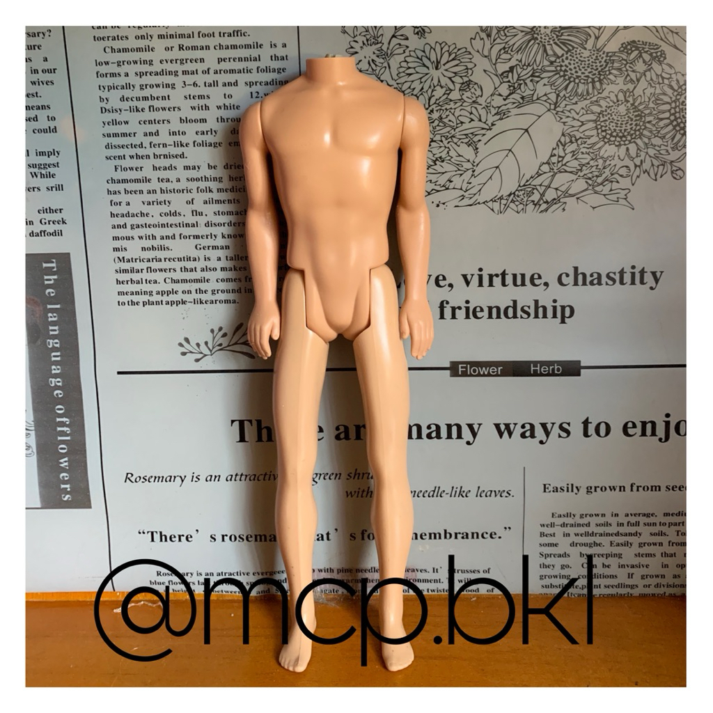 Barbie Body Ken Jadul Kaki Karet