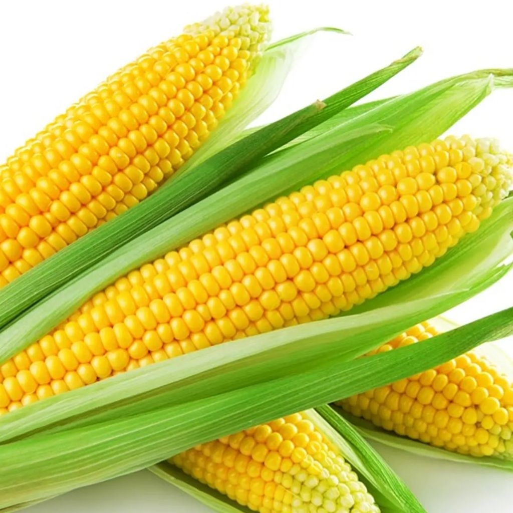 

dikirim besok jagung isi 2 sayur segar