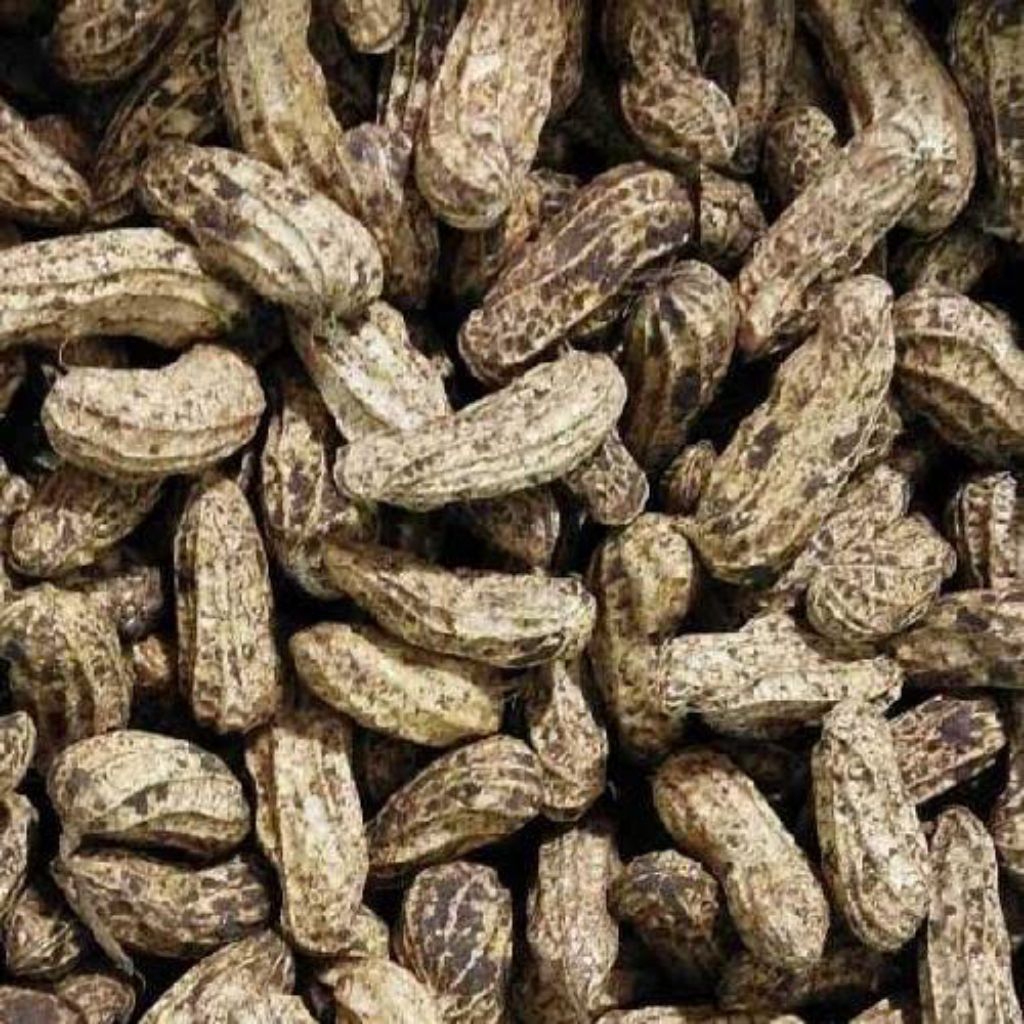 Kacang Tanah Kulit Mentah 1 kg