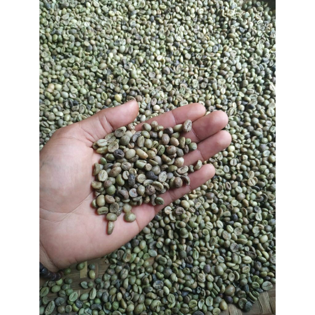 

Biji Kopi Robusta Asalan (GREENBEAN) |asli purbalingga 1kg langsung dari petani lokal